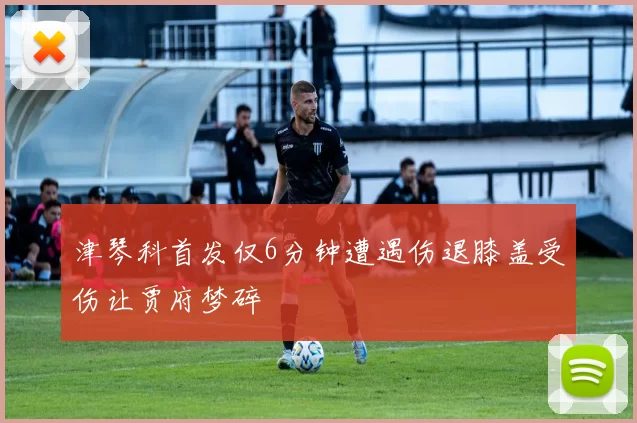津琴科首发仅6分钟遭遇伤退膝盖受伤让贾府梦碎
